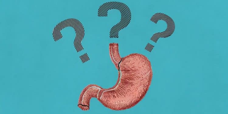 7 Signes Sournois du Syndrome de l’Intestin Irritable Révélés par des Experts - Viral Mag Découvrez les 7 signes cachés du syndrome de lintestin irritable qui pourraient vous surprendre selon des experts en santé digestive Ne manquez pas ces indices clés Viral Mag