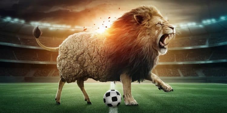 Bradley Barcola, l’agneau devenu lion au PSG ! - Viral Mag Lailier parisien Bradley Barcola répond aux critiques avec panache de lagneau à la révélation du PSG cette saison Viral Mag