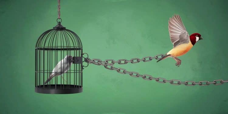 Chine : la Blogueuse Zhang Zhan Enfin Libre, Mais Sous Haute Surveillance - Viral Mag Après 4 ans de prison pour avoir critiqué la gestion du Covid à Wuhan Zhang Zhan est sortie de prison Mais sa liberté reste très restreinte par les autorités Viral Mag