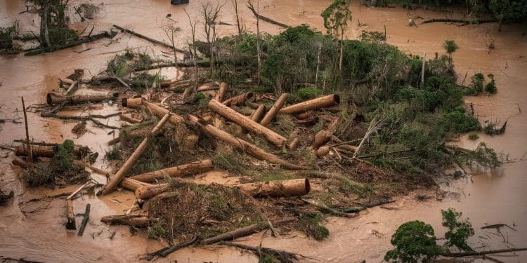 Déforestation, inondations et accusations choc au Brésil - Viral Mag Révélations explosives la déforestation mise en cause dans les inondations dévastatrices au Brésil Découvrez comment ce désastre écologique a provoqué le chaos Viral Mag