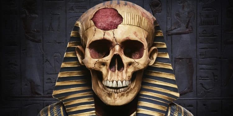 Des Crânes de Momies Livrent leurs Secrets Macabres - Viral Mag Les stigmates des cancers ayant emporté deux momies égyptiennes il y a des millénaires ont été révélés Plongez dans ces fascinantes découvertes Viral Mag