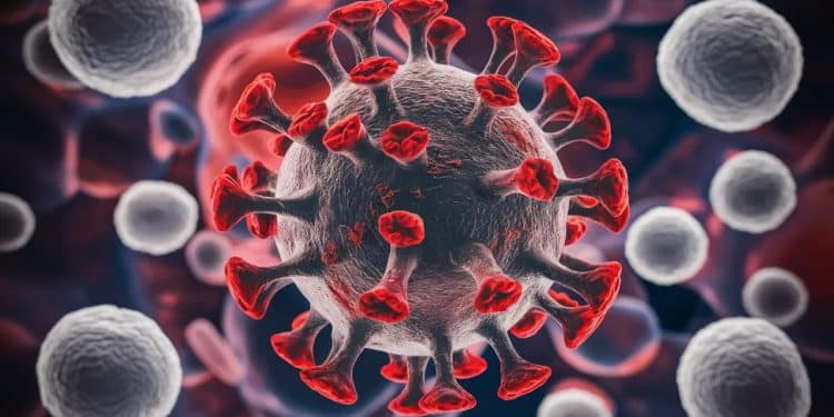 Grippe aviaire humaine aux USA : la menace inquiétante qui plane - Viral Mag Un deuxième cas de grippe aviaire chez lhomme aux États Unis soulève des inquiétudes Cette épidémie pourrait elle se propager à grande échelle Viral Mag