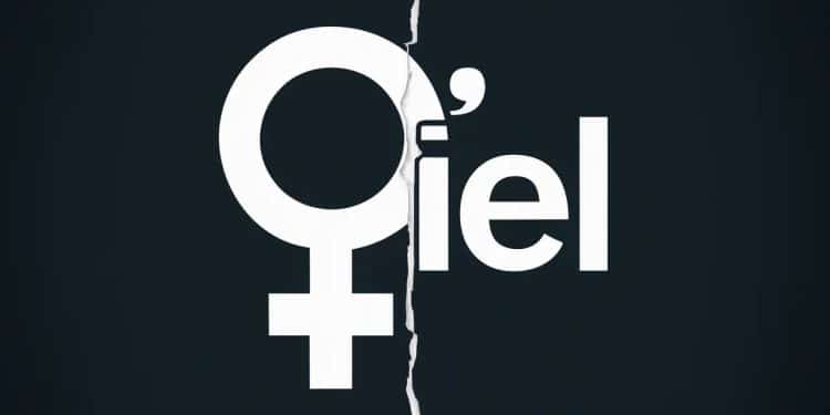 Le linguiste Jean Pruvost analyse lévolution du féminin dans la langue française Entre avancées et controverses comme le iel   Viral Mag