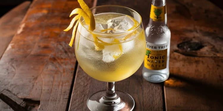 Le Gin Tonic, l’incontournable cocktail estival qui fait fureur ! - Viral Mag Découvrez tous les secrets pour réaliser le parfait Gin Tonic maison et épater vos invités cet été Mixers premium astuces de pro on vous dit tout Viral Mag