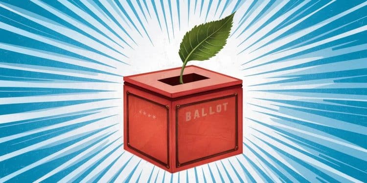 Coup de tonnerre politique  Marie Toussaint tête de liste EELV aux européennes défend le droit de vote dès 16 ans Une idée choc pour relancer sa campagne en berne   Viral Mag