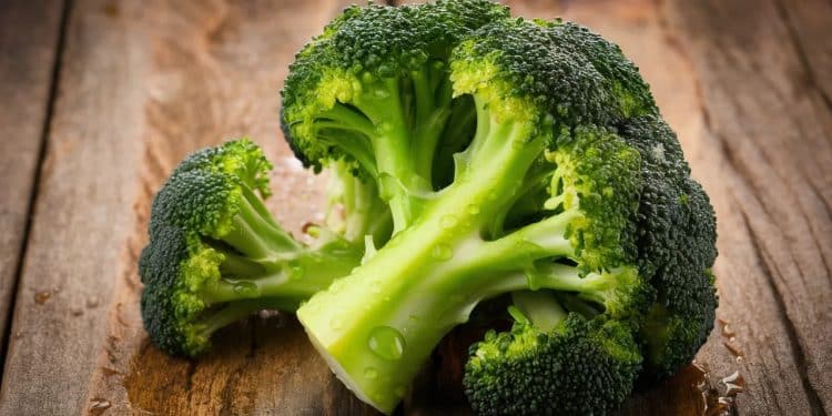 Les 5 bienfaits étonnants du brocoli qui vont vous faire craquer ! - Viral Mag Découvrez les incroyables vertus santé du brocoli qui bouleversent la nutrition Cette merveille verte vous surprendra avec ses pouvoirs insoupçonnés    Viral Mag