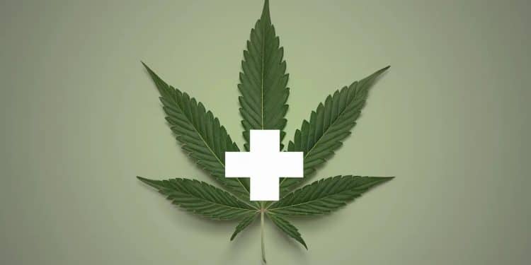 Les 7 bienfaits étonnants du CBD que vous devez connaître ! - Viral Mag Découvrez les 7 bienfaits santé surprenants du CBD Anti douleur anti stress anti âge Le remède miracle Viral Mag