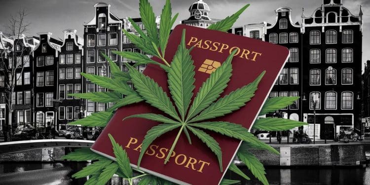 Nicki Minaj Arrêtée à Amsterdam : Le Scandale du Cannabis ! - Viral Mag Nicki Minaj interpellée à laéroport dAmsterdam pour possession de cannabis La rappeuse américaine crée la polémique Découvrez tous les détails chocs Viral Mag
