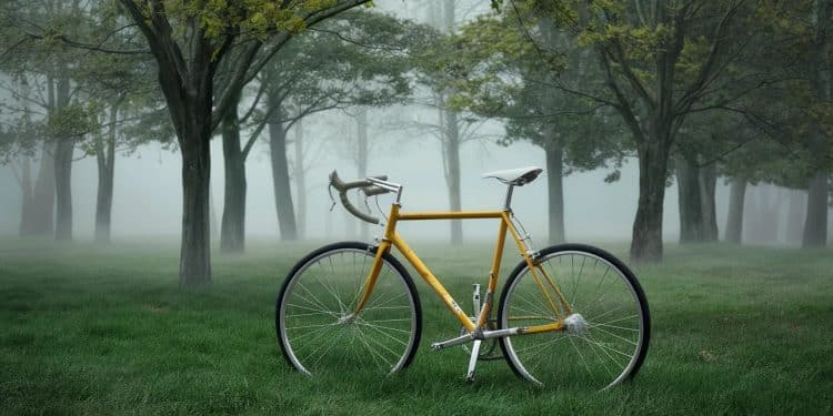 Un Cycliste Néo-Zélandais de 75 Ans Porté Disparu à Lyon ! - Viral Mag Incroyable disparition à Lyon  un cycliste néo zélandais de 75 ans introuvable depuis le 24 mai La gendarmerie lance un appel à témoins    Viral Mag