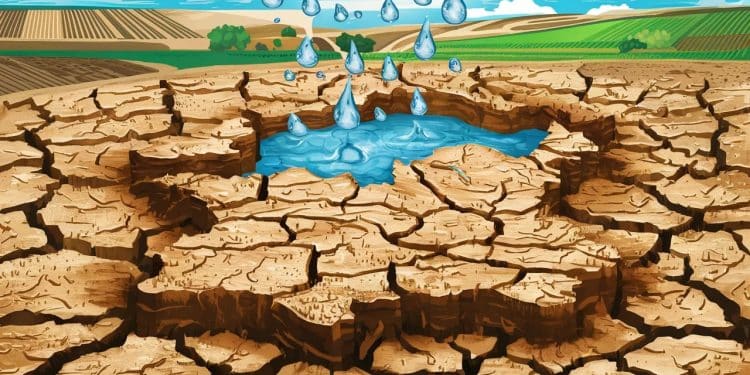 Un « Plan de Résilience » Qui Promet de Sauver les Pyrénées-Orientales de la Sécheresse ! - Viral Mag Le gouvernement dévoile un plan audacieux pour vaincre la sécheresse historique dans les Pyrénées Orientales Découvrez les mesures chocs qui pourraient bien changer la donne Viral Mag