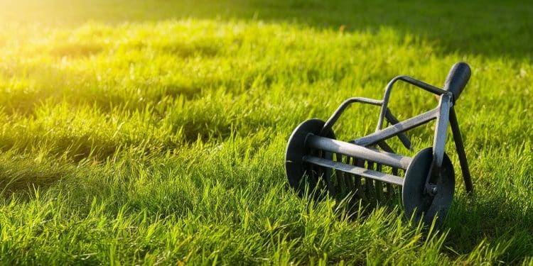 Un simple aérateur de pelouse révolutionne le jardinage ! - Viral Mag Découvrez lincroyable astuce dun jardinier pour obtenir une pelouse verdoyante en un temps record grâce à un simple outil Viral Mag