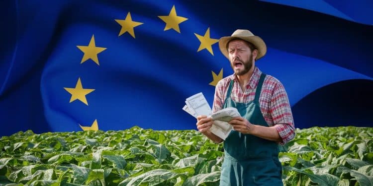 Aides à l’agriculture bio : La FNSEA dénonce une attente inacceptable - Viral Mag La FNSEA exige le paiement immédiat des aides européennes aux agriculteurs bio critiquant des délais de plus dun an pour certains Viral Mag