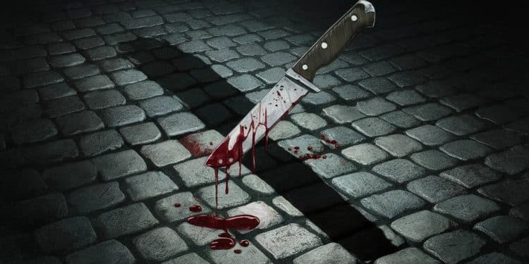 Une vague de violence frappe Châteauroux avec deux meurtres au couteau en seulement 3 jours La population est sous le choc face à cette criminalité croissante   Viral Mag