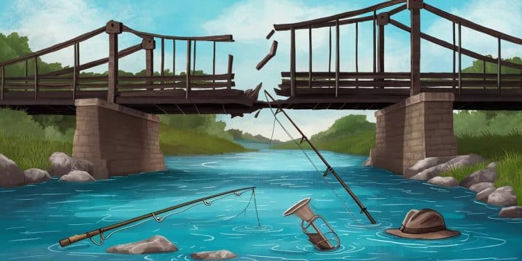 Un pêcheur de 50 ans chute de 8 mètres dun pont à Lyon lors dune partie de pêche Secouru par les pompiers il est gravement blessé Son neveu de 10 ans choqué Les détails   Viral Mag