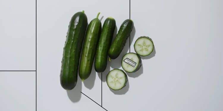 Cucumbers Recalled Nationwide Due to Salmonella Risk - Viral Mag Un rappel national est en cours sur les concombres en raison dun risque de contamination à la salmonelle Découvrez les détails et recommandations Viral Mag