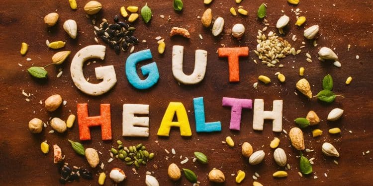 Un gastroentérologue révèle le meilleur en cas pour prendre soin de votre microbiome intestinal Découvrez les deux nutriments clés à rechercher    Viral Mag