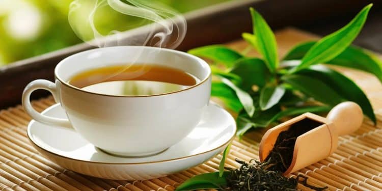Le thé vert une boisson millénaire riche en vertus pour votre corps et votre esprit Savourez un moment de bien être tout en prenant soin de votre santé    Viral Mag