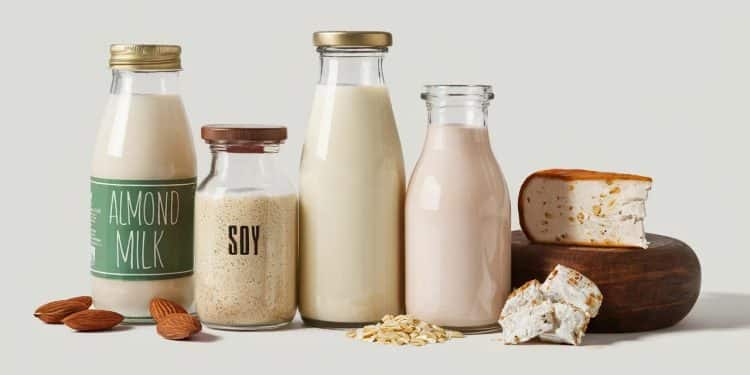 Démarrer une Alimentation Sans Produits Laitiers : Guide Complet - Viral Mag Découvrez notre guide complet pour adopter une alimentation sans produits laitiers Astuces substituts et recettes pour une transition réussie vers ce régime Viral Mag