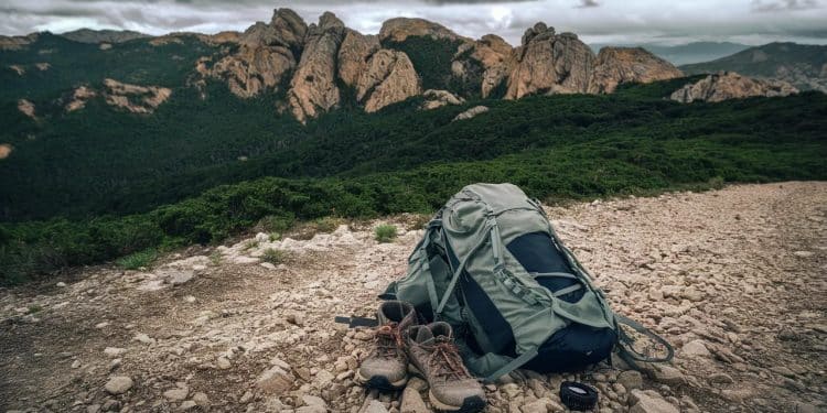 Une Lyonnaise de 40 ans traileuse expérimentée na pas donné signe de vie depuis le 1er juin en Chartreuse La CRS des Alpes a lancé un appel à témoins   Viral Mag