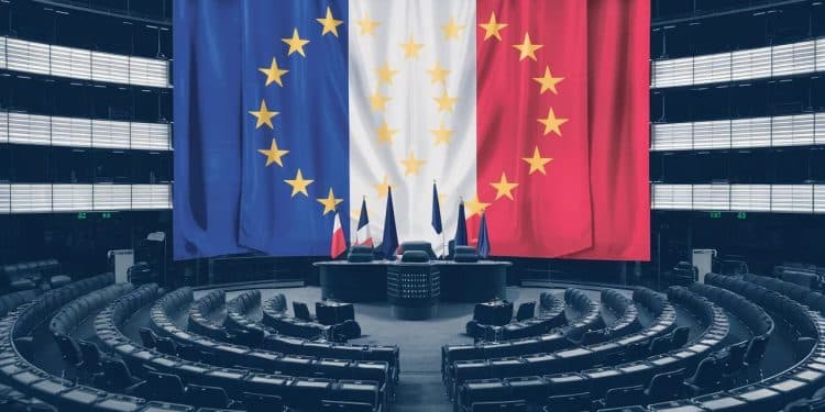 Découvrez comment les eurodéputés français séloignent parfois de leurs groupes politiques sur des sujets clés comme limmigration et le libre échange   Viral Mag