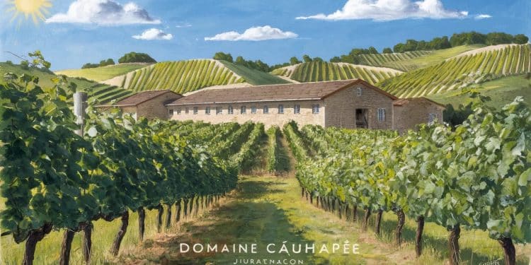 Immersion au coeur du Domaine Cauhapé, dans le Jurançon - Viral Mag Plongez au coeur de lappellation Jurançon avec le Domaine Cauhapé pionnier des vins blancs secs du Sud Ouest Un vigneron artisan à découvrir Viral Mag