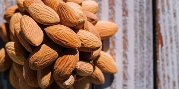 Découvrez la collation la plus riche en fibres de Walmart pour vous aider à réduire votre taux de cholestérol et améliorer votre santé cardiovasculaire   Viral Mag