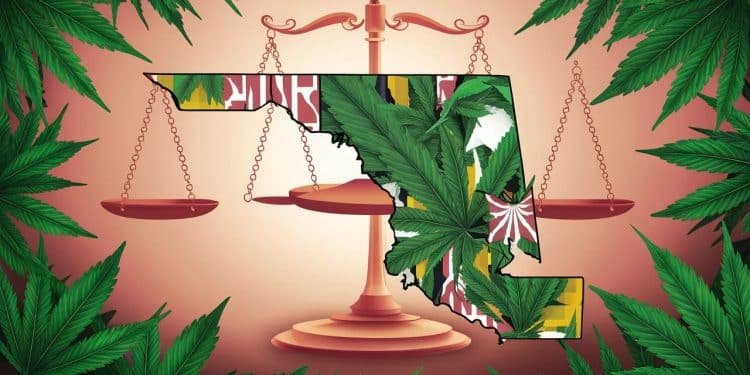 Un an après la dépénalisation du cannabis le Maryland fait un geste fort en annulant 175 000 condamnations pour usage Un pas de plus vers la justice    Viral Mag