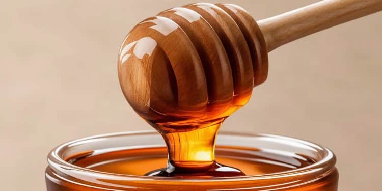 Le miel est réputé pour ses vertus et sa longue conservation Mais peut il se périmer  Découvrez les secrets de ce fascinant produit des abeilles   Viral Mag