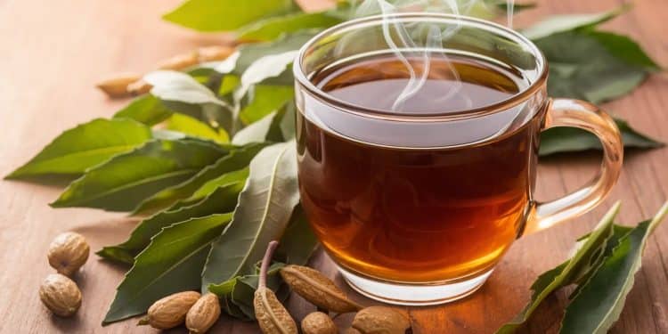 Découvrez le thé recommandé par les diététiciens pour améliorer naturellement votre digestion et dire adieu à la constipation Un remède efficace et savoureux    Viral Mag