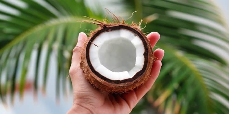 L’Eau de Coco : 7 Bienfaits Étonnants pour votre Santé - Viral Mag Découvrez les 7 bienfaits surprenants de leau de coco sur votre santé Hydratation électrolytes digestion Les raisons de ladopter Viral Mag