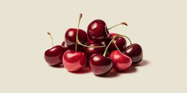Les noyaux de cerise sont-ils toxiques pour l’homme ? - Viral Mag Vous vous demandez si les noyaux de cerise sont dangereux en cas dingestion accidentelle  Découvrez les risques potentiels et les précautions à prendre   Viral Mag