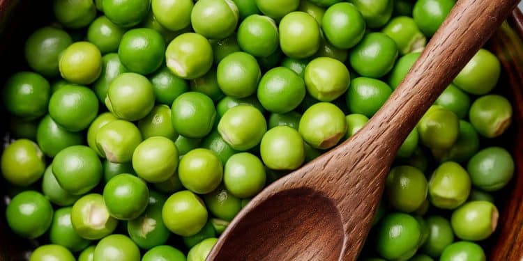 Les petits pois, l’allié insoupçonné pour une digestion optimale - Viral Mag Découvrez comment les petits pois peuvent soulager la constipation grâce à leur teneur en fibres en magnésium et en eau Un légume miracle pour votre transit intestinal    Viral Mag