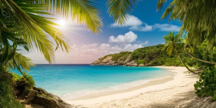 Plongez au cœur des merveilles de la Barbade cette île des Caraïbes qui marie élégance histoire et nature Des plages de rêve au rhum légendaire explorez ses secrets les mieux gardés   Viral Mag