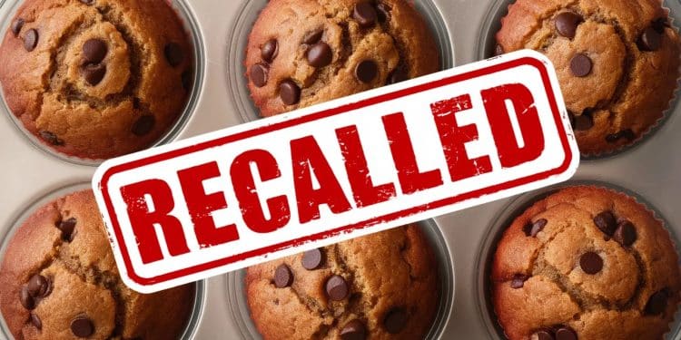 Un rappel national vient dêtre lancé sur des muffins aux pépites de chocolat vendus chez Aldi en raison de la présence non déclarée de noix un allergène potentiellement dangereux   Viral Mag