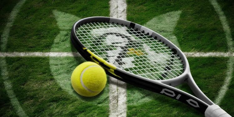 Wimbledon : Djokovic et Murray bien présents pour le tournoi - Viral Mag Malgré les incertitudes Novak Djokovic et Andy Murray figurent dans le tableau final de Wimbledon Découvrez les enjeux de leur participation Viral Mag