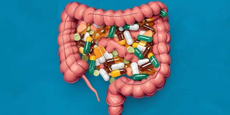 Certains compléments que vous prenez pourraient empirer votre constipation Découvrez lesquels éviter selon les experts   Viral Mag