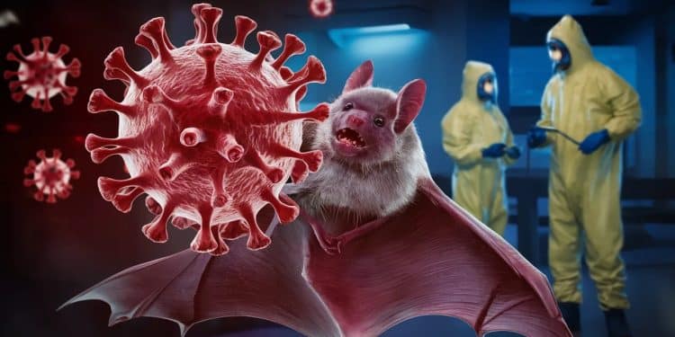 Alerte sanitaire en Inde : un ado meurt du virus Nipah - Viral Mag Un adolescent de 14 ans est décédé du redoutable virus Nipah en Inde déclenchant lalerte des autorités sanitaires Découvrez les détails   Viral Mag