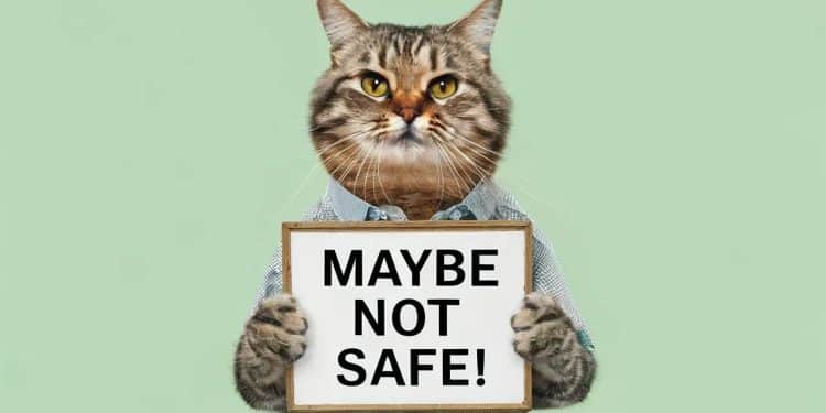 Attaque au Couteau à Southport : Plusieurs Victimes, Un Homme Arrêté - Viral Mag Une attaque au couteau a fait de nombreuses victimes à Southport en Angleterre ce lundi 29 juillet La police a arrêté un homme et saisi larme   Viral Mag