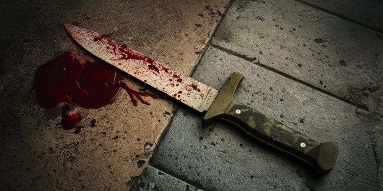 Coup de couteau à la gare de l’Est : une enquête judiciaire ouverte - Viral Mag Un militaire Sentinelle blessé par un individu radicalisé à la gare de lEst lundi soir Lenquête a été confiée à un juge dinstruction pour tentative dassassinat Viral Mag