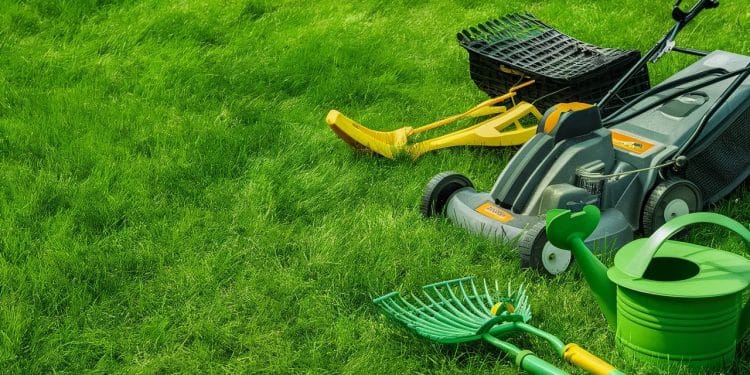 Entretenir sa pelouse en été : 5 astuces pour un gazon vert éclatant - Viral Mag Découvrez nos 5 conseils indispensables pour garder votre pelouse verdoyante et en pleine forme tout au long de lété Scarification désherbage arrosage fertilisation et tonte nauront plus de secrets pour vous Viral Mag