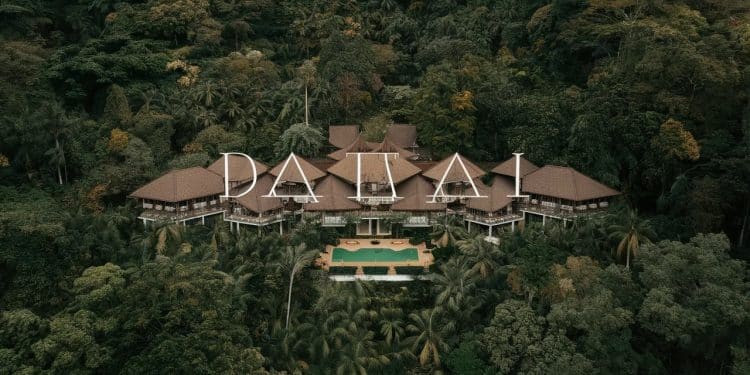 Découvrez le Datai un hôtel dexception niché au cœur de la forêt primaire sur lîle de Langkawi en Malaisie Un modèle décotourisme depuis 30 ans   Viral Mag