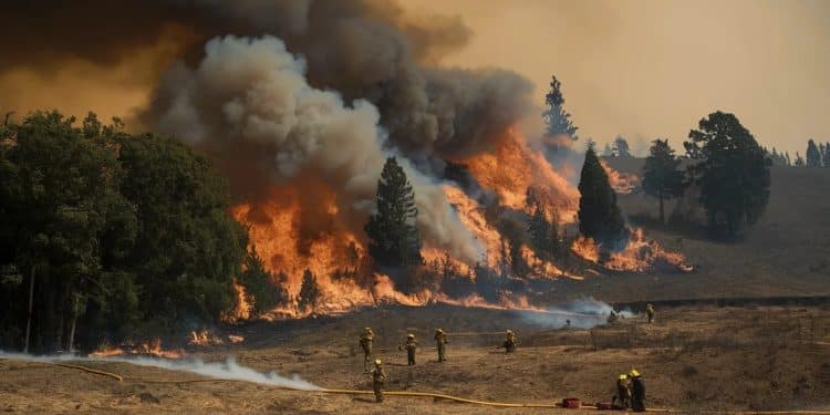 Incendie Dévastateur en Californie Malgré une Saison Exceptionnelle - Viral Mag Un incendie dampleur ravage le Nord de la Californie forçant des milliers dhabitants à évacuer alors quune vague de chaleur dangereuse frappe la région Découvrez les dernières actualités sur cette catastrophe Viral Mag