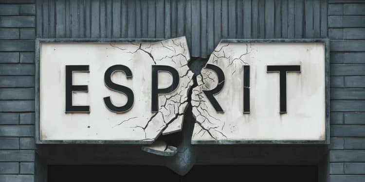 Esprit la célèbre marque de prêt à porter traverse une passe difficile Placée en redressement judiciaire en France lenseigne allemande soulève des inquiétudes quant à son futur Décryptage   Viral Mag