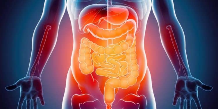 Découvrez pourquoi la canicule peut causer des problèmes de constipation et comment y remédier simplement selon les conseils dun gastro entérologue   Viral Mag