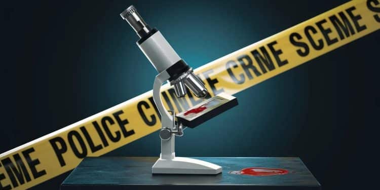 Un sexagénaire déjà condamné pour homicide dans les années 80 mis en examen pour le meurtre dun homme à Nantes en novembre 2023 piégé par son ADN   Viral Mag