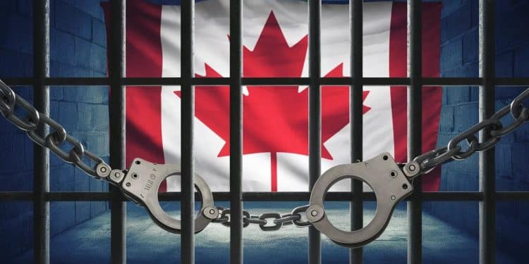 Des milliers de migrants ont été incarcérés dans des prisons canadiennes en attendant la régularisation de leur situation aux côtés de délinquants violents   Viral Mag