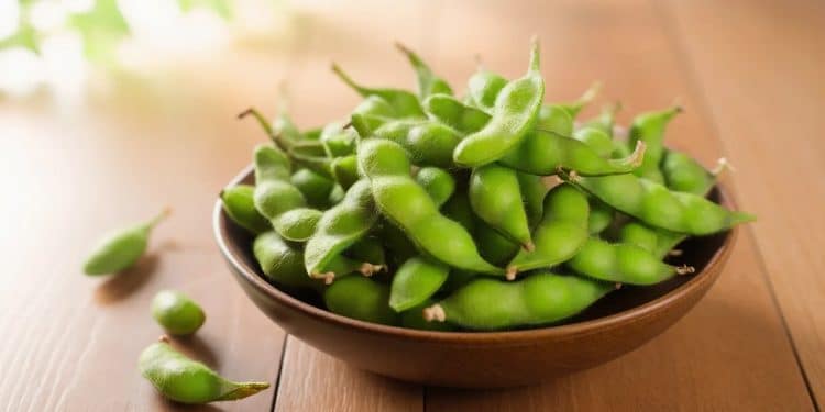 Le grignotage protéiné ultime pour votre santé intestinale - Viral Mag Découvrez le snack riche en protéines recommandé par un gastro entérologue pour booster votre santé intestinale Les edamames révolutionnent votre transit   Viral Mag