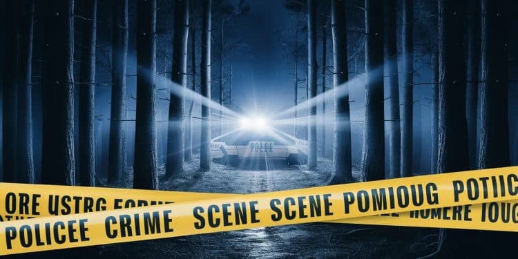 Retour sur leffroyable meurtre de la petite Célya 6 ans poignardée par le compagnon de sa mère Les détails de lenquête et le profil du suspect   Viral Mag