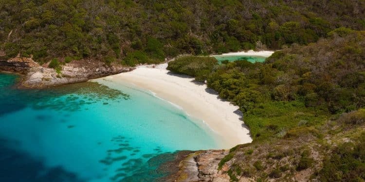 Les 15 plus belles plages paradisiaques d’Australie - Viral Mag Découvrez notre sélection des 15 plus belles plages dAustralie Du sable blanc des eaux turquoise et des paysages à couper le souffle vous attendent Viral Mag