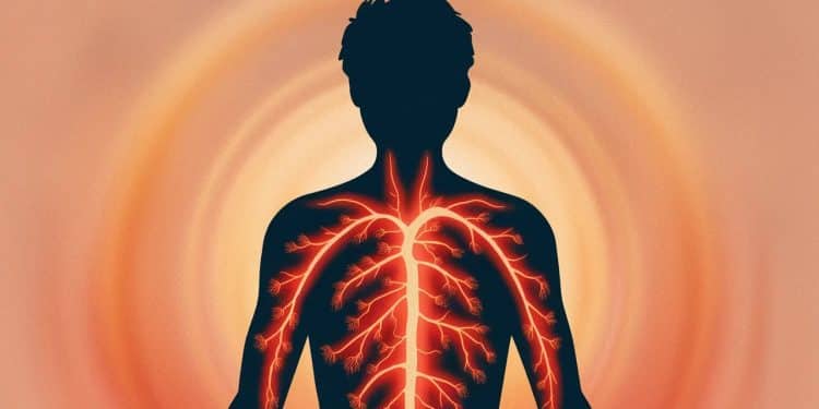 Les 7 Meilleurs Suppléments de Fer pour Booster Votre Énergie - Viral Mag Découvrez les suppléments de fer les plus efficaces pour combattre la fatigue les mains et pieds froids et autres symptômes de carence en fer   Viral Mag